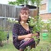 Татьяна, 62, г.Белореченск Татьяна, 62, г.Белореченск
