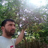 Саша, 36, г.Михайлов Саша, 36, г.Михайлов