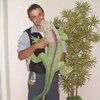 денис, 34, г.Александровское (Томская обл.) денис, 34, г.Александровское (Томская обл.)