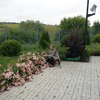 Марина, 44, г.Самара Марина, 44, г.Самара