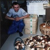 Алексей, 37, г.Березники Алексей, 37, г.Березники