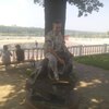 Андрей, 49, г.Брянск Андрей, 49, г.Брянск