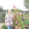 Татьяна, 60, г.Белгород Татьяна, 60, г.Белгород