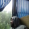 Марк, 32, г.Абакан Марк, 32, г.Абакан