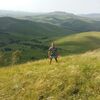 Станислав, 27, г.Новосибирск Станислав, 27, г.Новосибирск