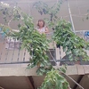 Александра, 52, г.Нижний Новгород Александра, 52, г.Нижний Новгород
