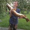 андрей, 46, г.Сестрорецк андрей, 46, г.Сестрорецк