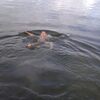 Парень, 30, г.Калининград Парень, 30, г.Калининград