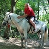 Николай, 42, г.Первоуральск Николай, 42, г.Первоуральск