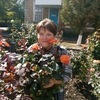 Ромашка, 51, г.Ейск Ромашка, 51, г.Ейск