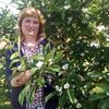 Svetlana-Lina, 52, г.Славянск-на-Кубани Svetlana-Lina, 52, г.Славянск-на-Кубани