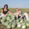 Галина, 63, г.Ростов-на-Дону Галина, 63, г.Ростов-на-Дону