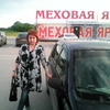 Tanshik, 36, г.Рязань Tanshik, 36, г.Рязань