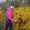 Галина, 49, г.Губкин Галина, 49, г.Губкин