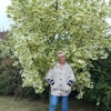 Галина, 56, г.Невель Галина, 56, г.Невель