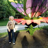 Галина, 65, г.Краснодар Галина, 65, г.Краснодар
