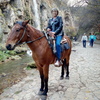 Людмила, 55, г.Москва Людмила, 55, г.Москва