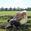 Елена !, 55, г.Новомосковск Елена !, 55, г.Новомосковск