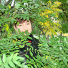 Татьяна, 49, г.Георгиевск Татьяна, 49, г.Георгиевск