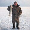 андрей, 44, г.Сланцы андрей, 44, г.Сланцы