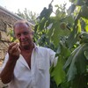 сергей, 57, г.Кубинка сергей, 57, г.Кубинка