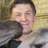Геннадий, 55, г.Пролетарский Геннадий, 55, г.Пролетарский