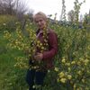 Надежда, 60, г.Староминская Надежда, 60, г.Староминская