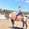 Антон, 31, г.Ялта Антон, 31, г.Ялта