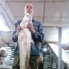 Андрей, 42, г.Ванино Андрей, 42, г.Ванино
