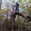 сергей, 37, г.Алексин сергей, 37, г.Алексин