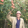 Василий, 62, г.Буй Василий, 62, г.Буй
