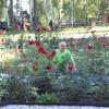 Наиль, 58, г.Верхнеяркеево Наиль, 58, г.Верхнеяркеево