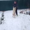 Сергей, 45, г.Верея Сергей, 45, г.Верея