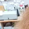 НАТАША, 64, г.Саянск НАТАША, 64, г.Саянск