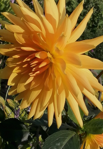 ЛЮБОВЬ (@lubov66396) — моя фотография № 1