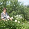Светлана, 60, г.Новокузнецк Светлана, 60, г.Новокузнецк