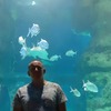 Dmitry, 44, г.Гагарин Dmitry, 44, г.Гагарин