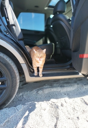 Леша (@lesha22731) — моя фотография № 7