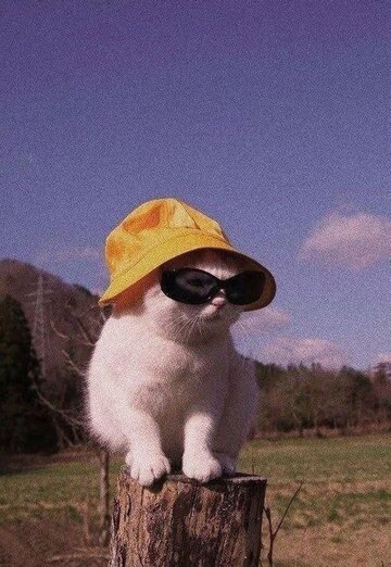 Лера (@lera26012) — моя фотография № 1