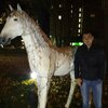Евгений, 30, г.Чебоксары Евгений, 30, г.Чебоксары