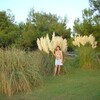 Ольга, 54, г.Немчиновка Ольга, 54, г.Немчиновка