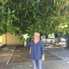 Наталья, 60, г.Омск Наталья, 60, г.Омск