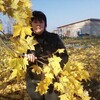 Анжелика, 40, г.Владимир Анжелика, 40, г.Владимир