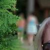ирина, 50, г.Брянск ирина, 50, г.Брянск