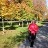 Елена, 49, г.Ростов-на-Дону Елена, 49, г.Ростов-на-Дону