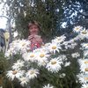 Валентина, 60, г.Сафоново Валентина, 60, г.Сафоново