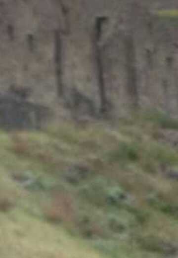 Альберт (@albert23507) — моя фотография № 1