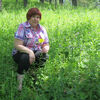 Альбина, 62, г.Емельяново Альбина, 62, г.Емельяново