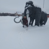 Виталя, 36, г.Довольное Виталя, 36, г.Довольное