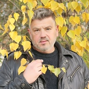 Снегирь 61 Копейск
